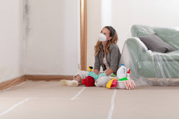Reliable Basement Mold Remediation contractor in Rosemount, MN by Mold Remediation HQ